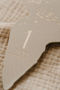 Coffret Cartes étapes Birds