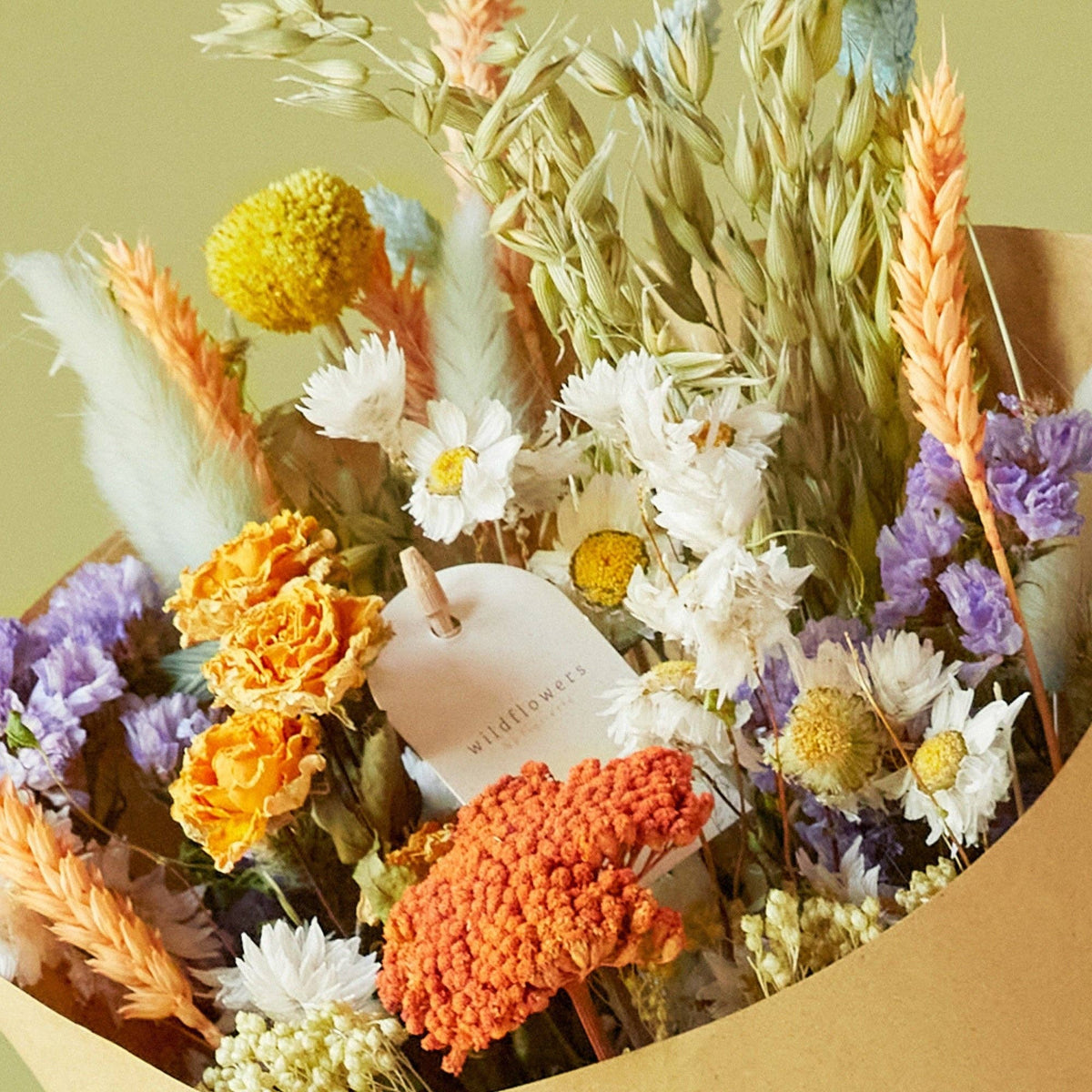 Fleurs séchées - Délice Pastel