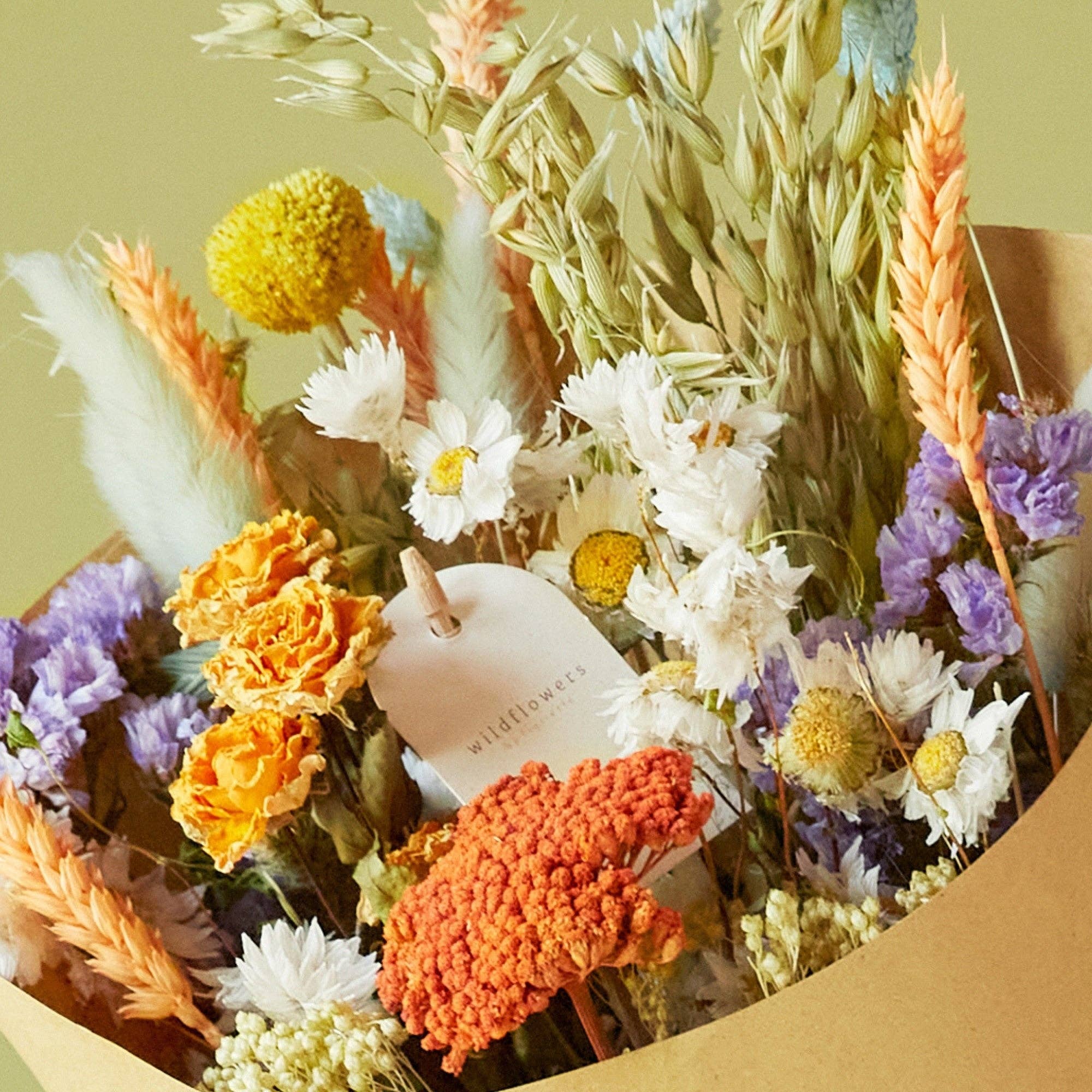 Fleurs séchées - Délice Pastel