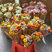 Fleurs séchées - Multi