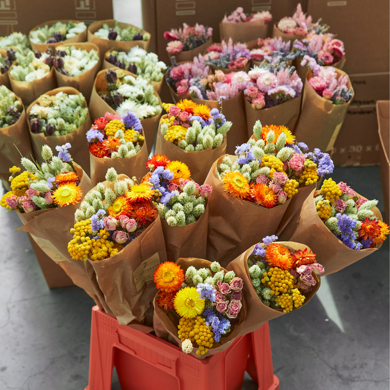 Fleurs séchées - Multi