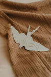 Coffret Cartes étapes Birds