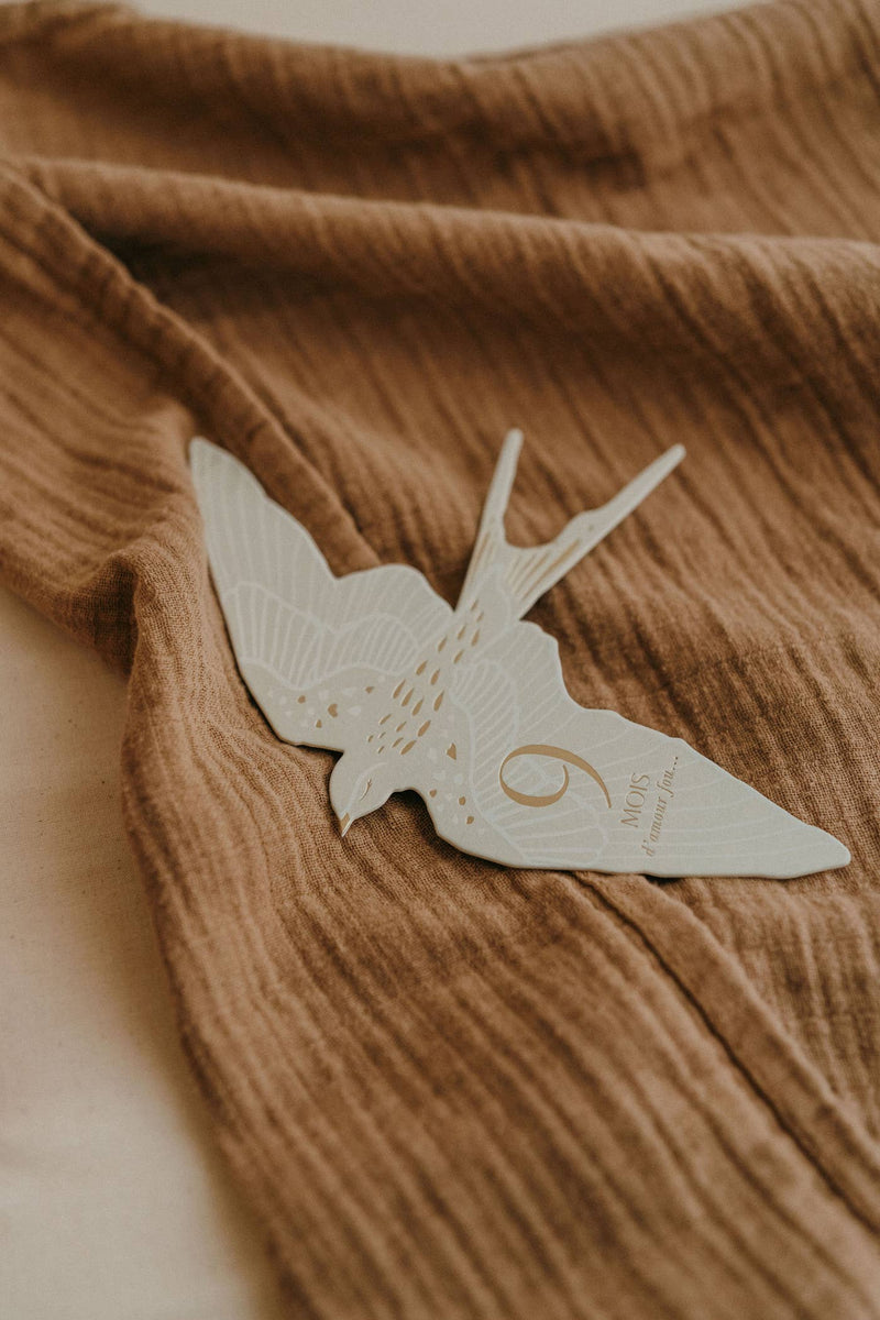 Coffret Cartes étapes Birds