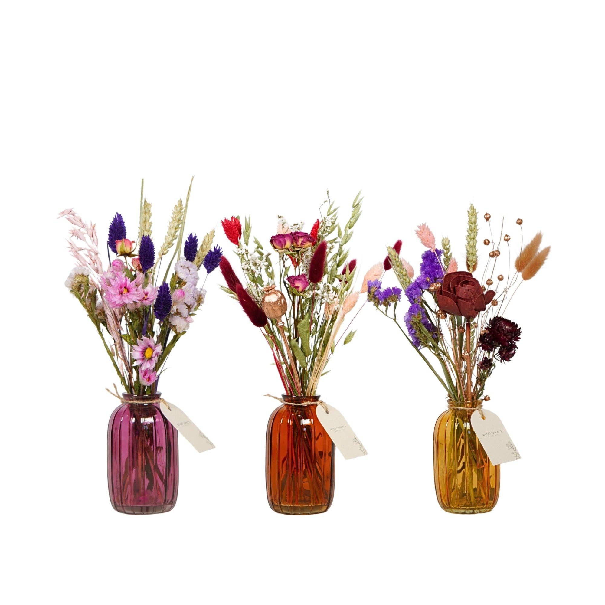 Fleurs séchées en bouteille - Terra