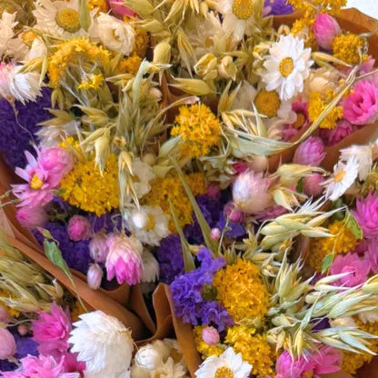 Fleurs séchées - Hollandais