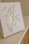 Coffret Cartes étapes Birds