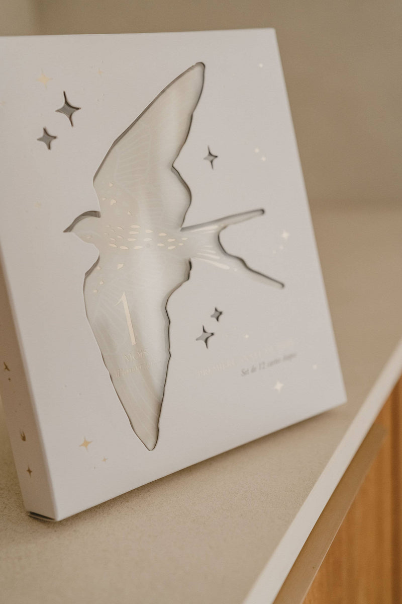 Coffret Cartes étapes Birds