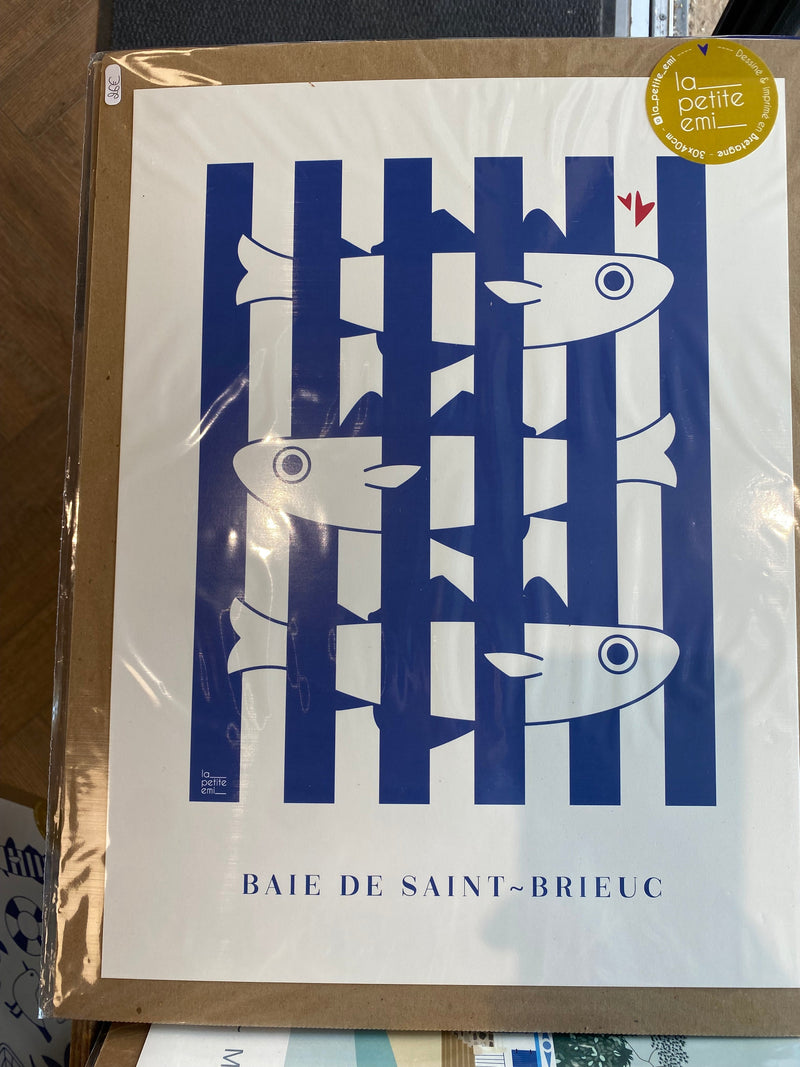 Illustration « Baie de Saint-Brieuc »