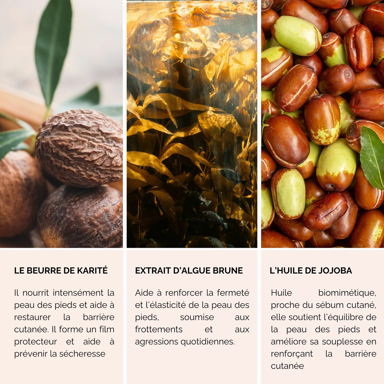 Onguent Pieds Secs et Callosités