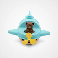 L'Hydravion de Petit Ours Brun