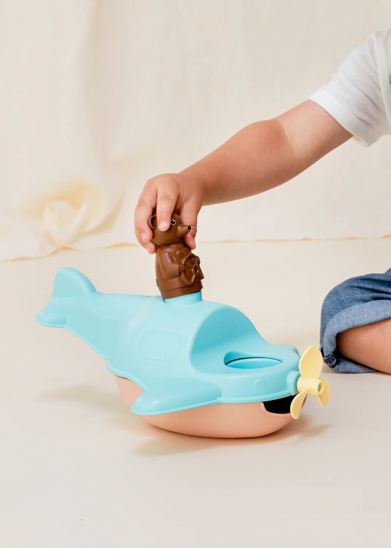 L'Hydravion de Petit Ours Brun