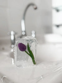 Savon Ludi Soap