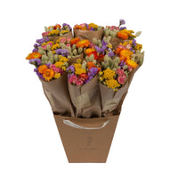 Fleurs séchées - Multi