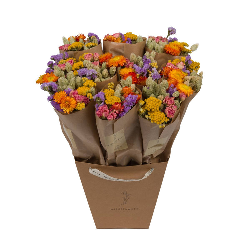 Fleurs séchées - Multi
