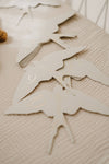 Coffret Cartes étapes Birds