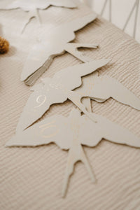 Coffret Cartes étapes Birds