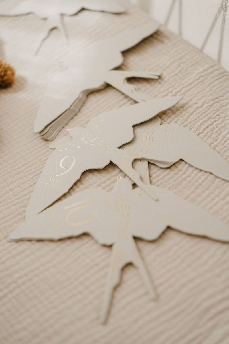 Coffret Cartes étapes Birds