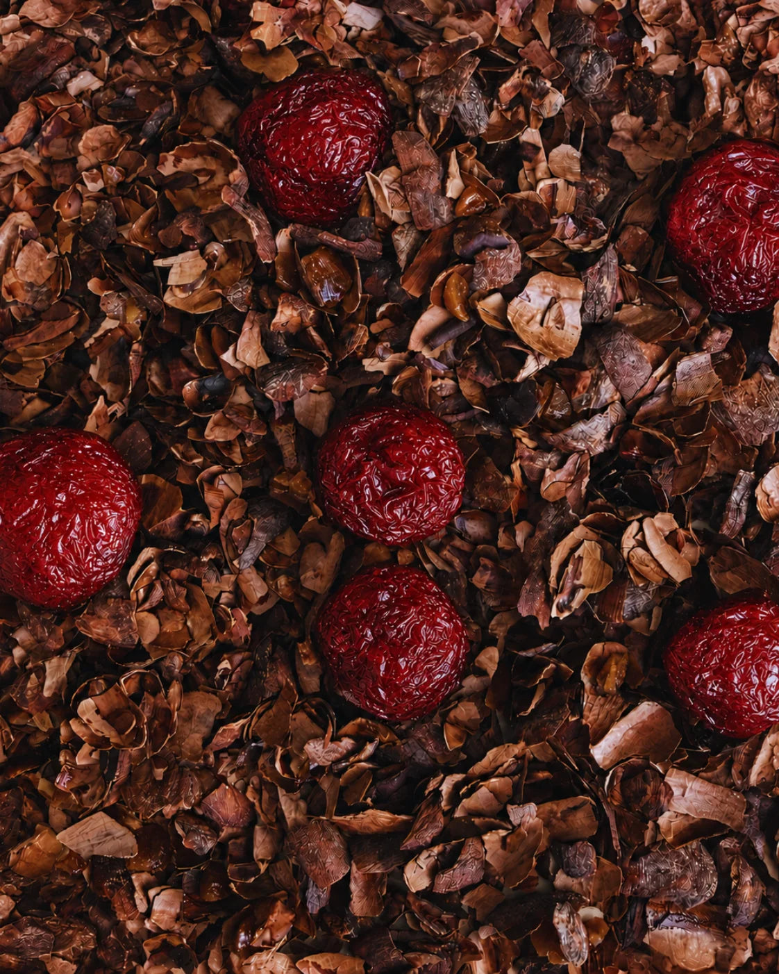 Infusion cacao & cerise - 85g