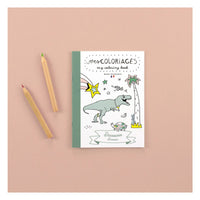 Carnet de coloriage dinosaures