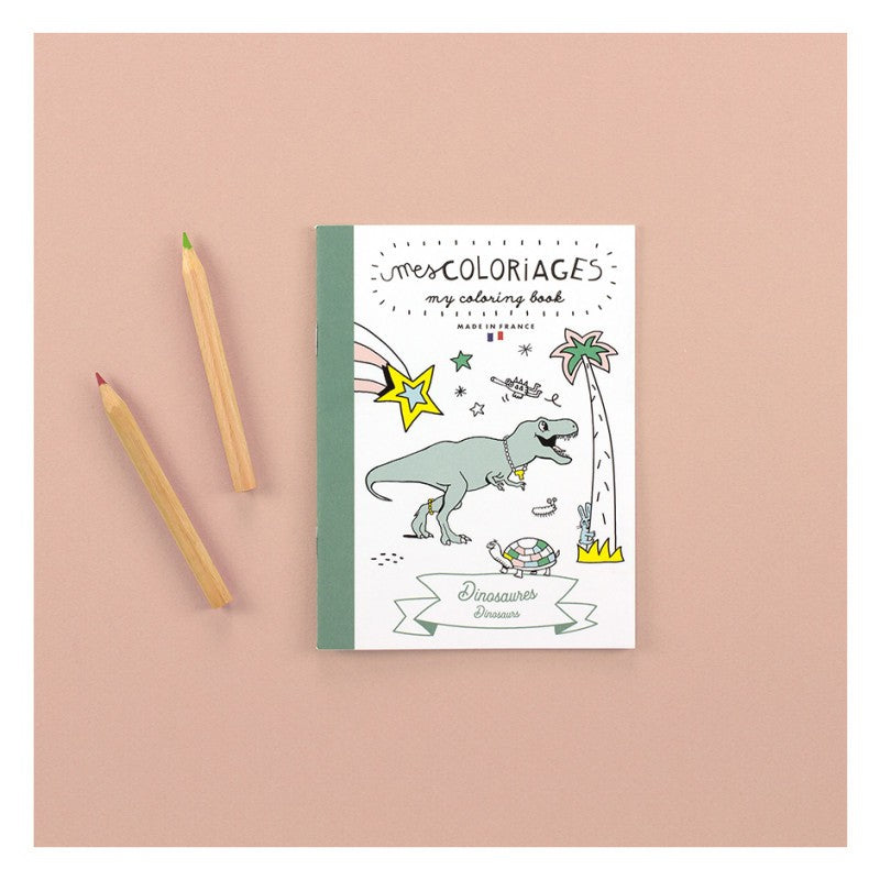 Carnet de coloriage dinosaures