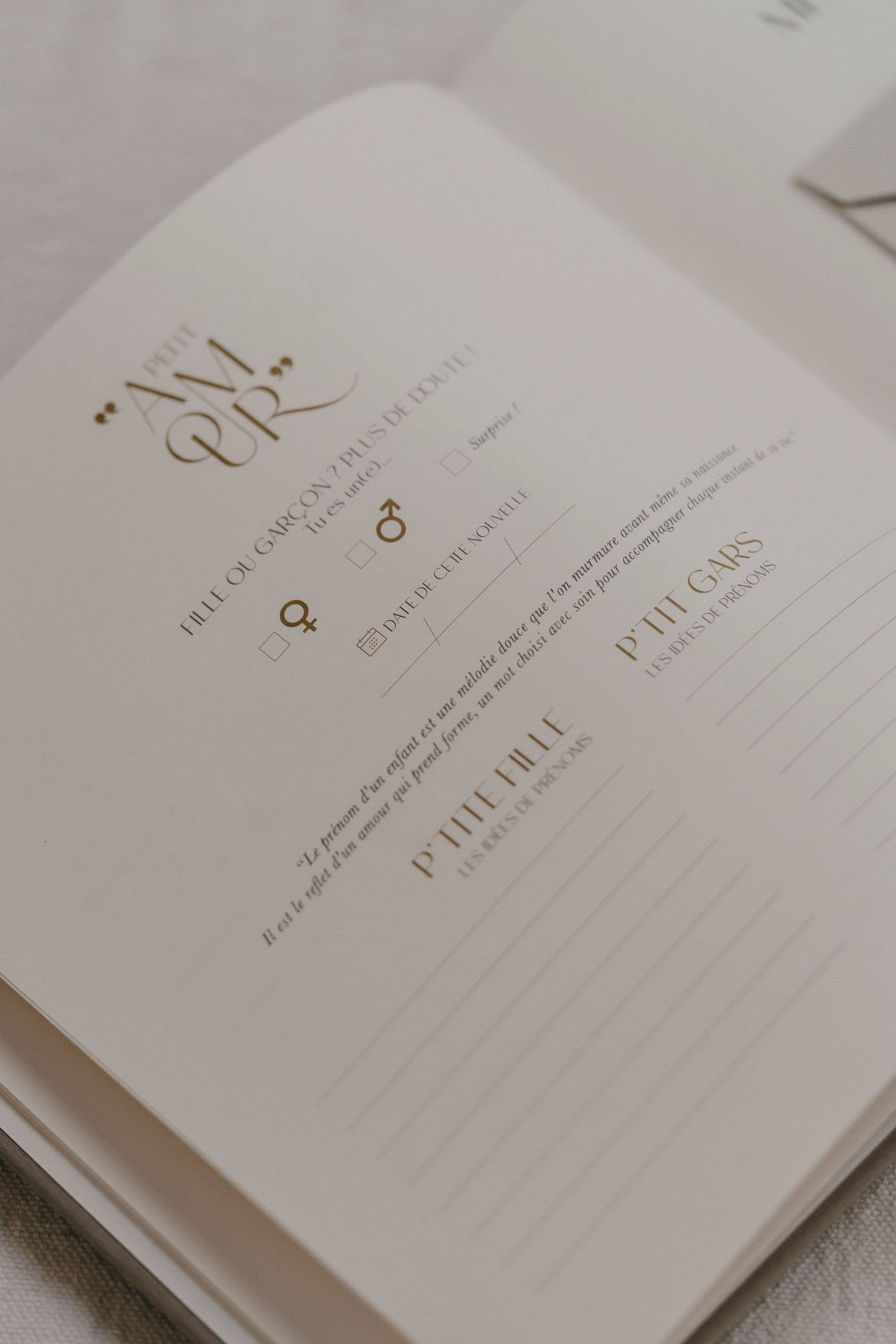 Livre de naissance - Pure lin