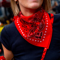 Petit foulard - Bandana