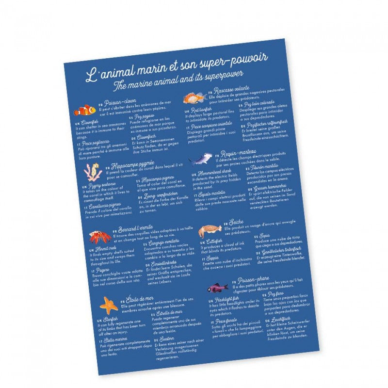 Jeu de Mémory Animaux marins et Super-pouvoirs
