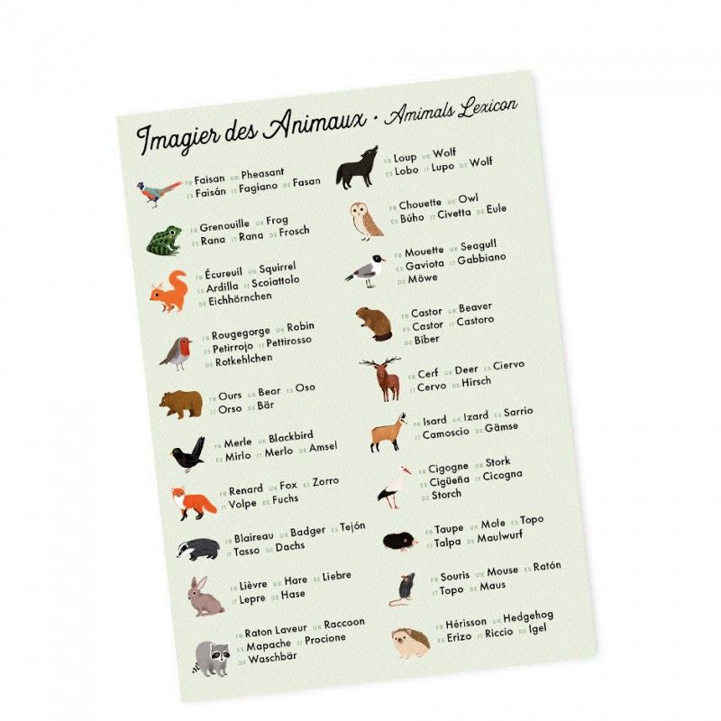 Jeu de Mémory Animaux et Empreintes
