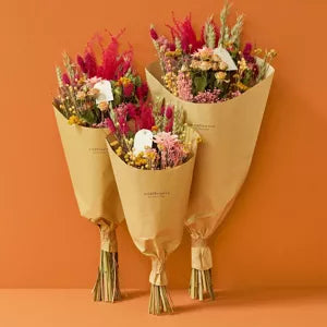 Fleurs séchées - Summer Crush