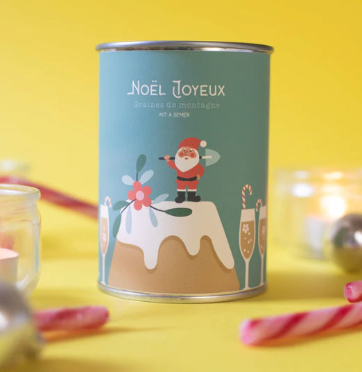 Kit à semer "Noël Joyeux gâteau"