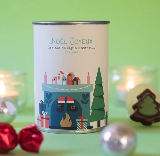 Kit à semer "Noël Joyeux cheminée"