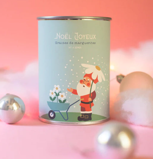 Kit à semer "Noël Joyeux brouette"