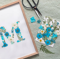 Kit DIY herbier abécédaire Bleu