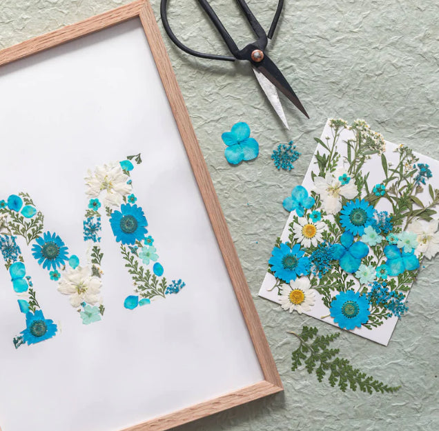 Kit DIY herbier abécédaire Bleu