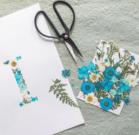 Kit DIY herbier abécédaire Bleu