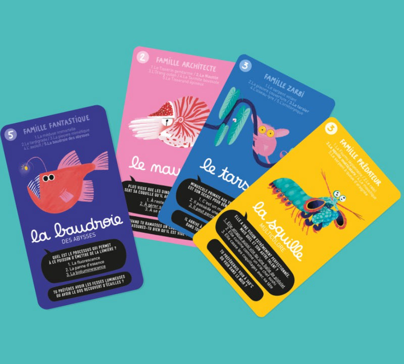 Jeu de 7 familles "Super bestioles"