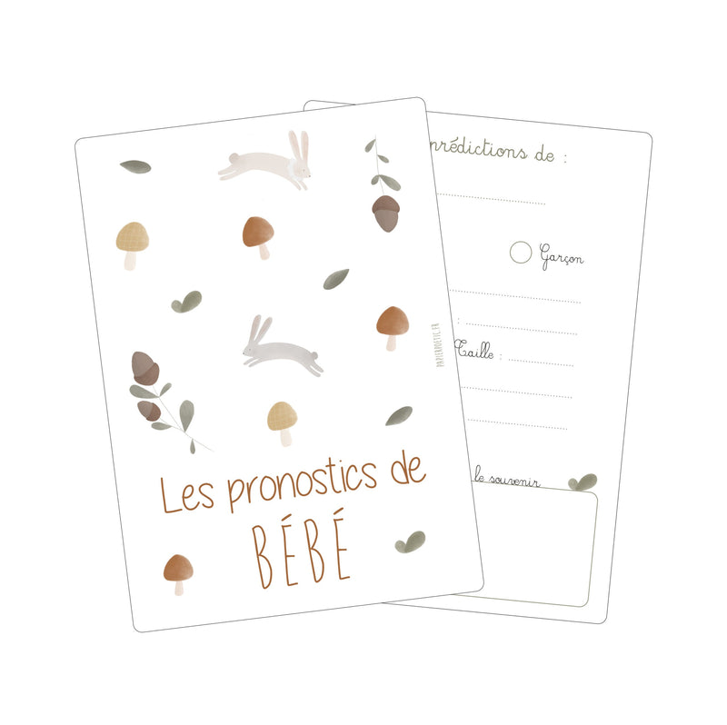 Lot 6 Cartes Pronostics Bébé “brindilles”