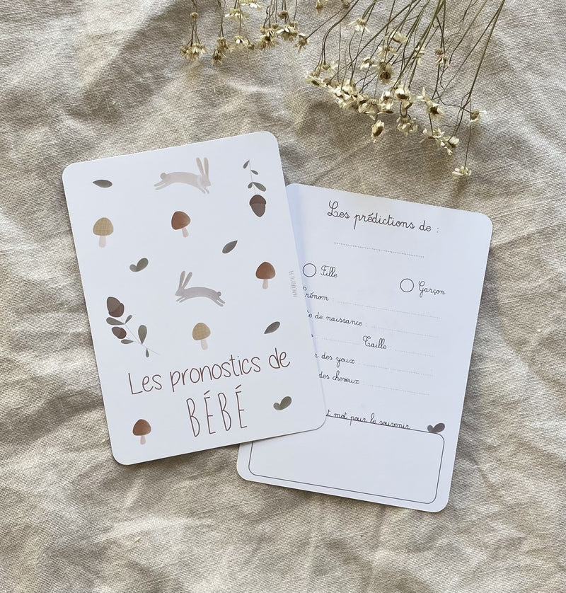 Lot 6 Cartes Pronostics Bébé “brindilles”