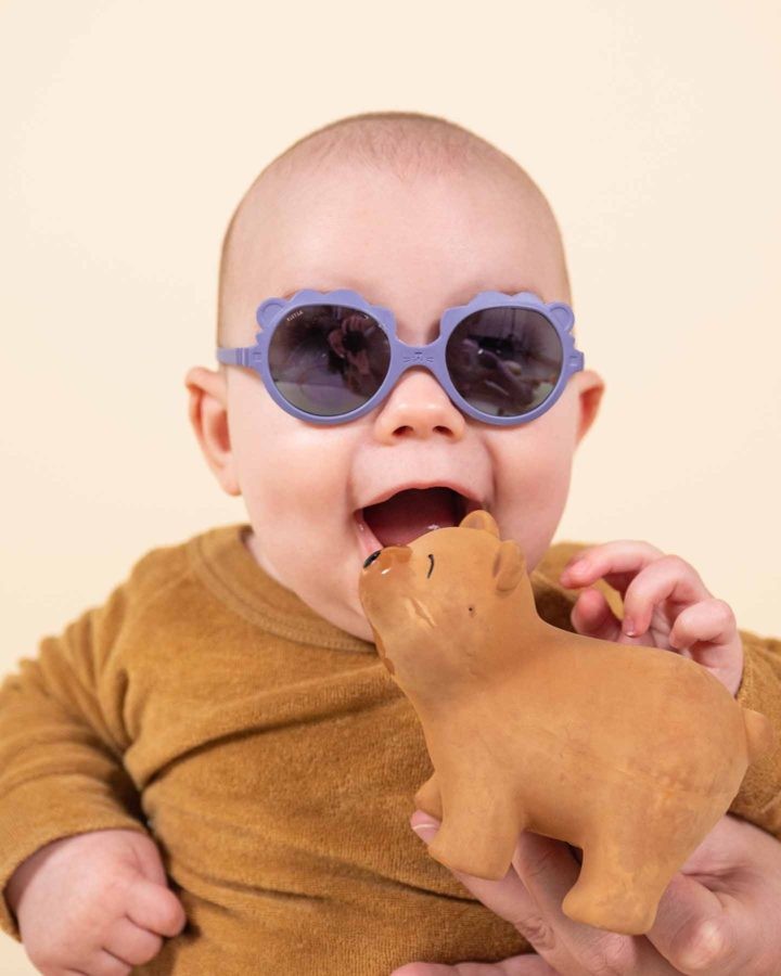 Lunettes de soleil LION Violet